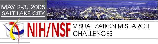 NIH/NSF Spring 2005 Workshop on Visualization Research Challenges