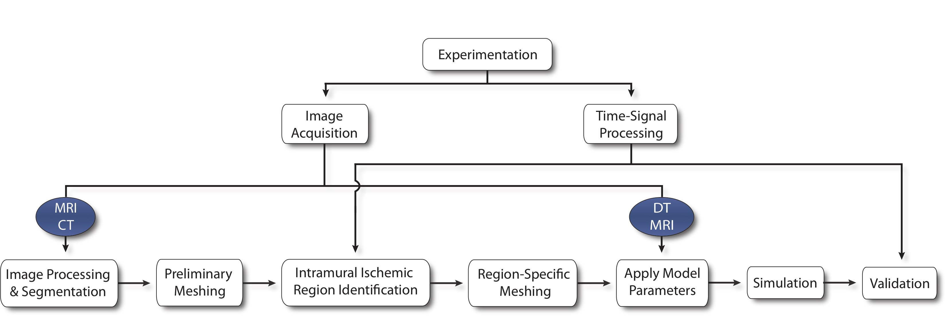 Simulation Pipeline