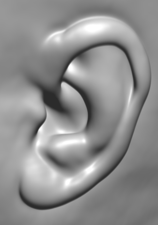 http://www.sci.utah.edu/~gk/vis03/ear/ear-rend.png