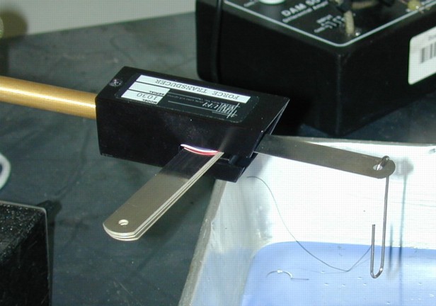 calibration of transducer