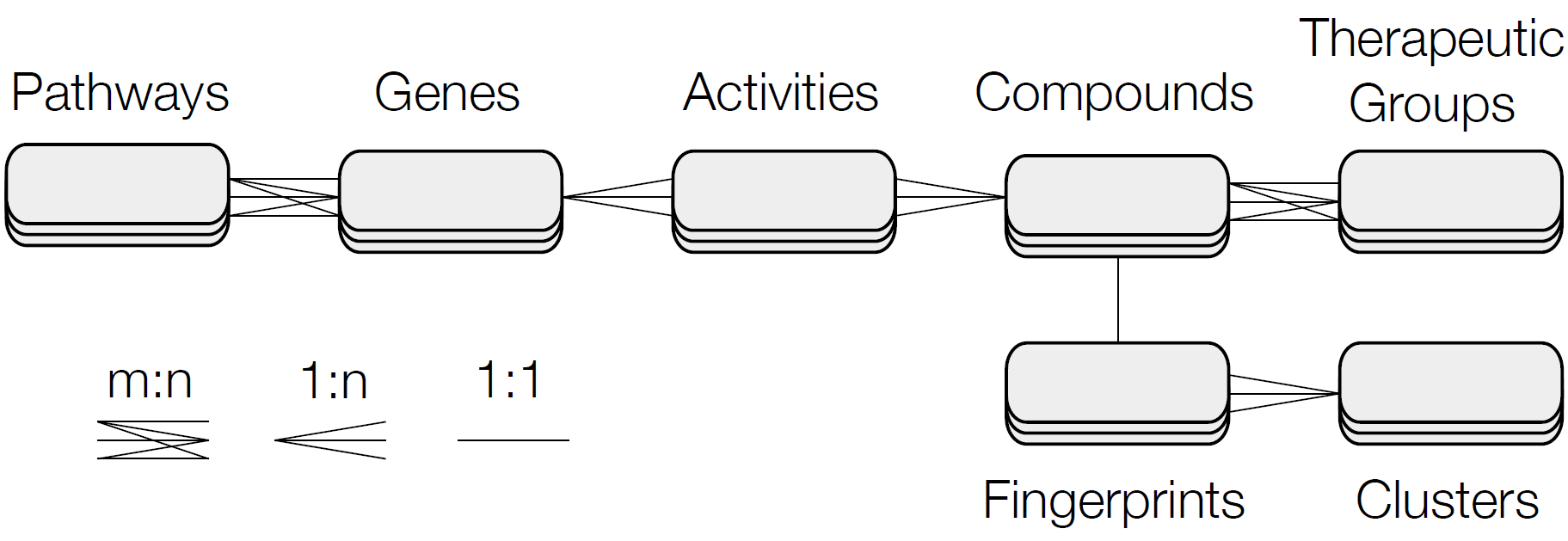 Dataset Overview