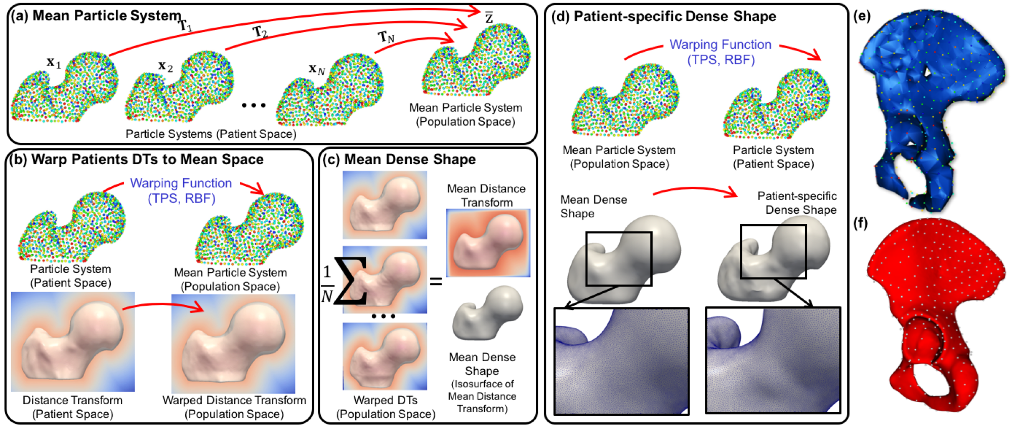 Shape modes derived from statistical shape modelling describe left