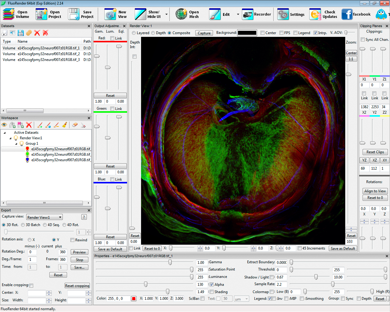 fl diaphragm