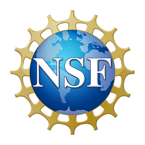 NSF Official logo 500