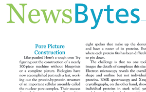 news-bytes