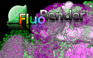 fluorender-2-6