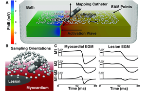 Journal of Cardiovascular Electrophysiology