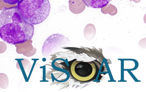 visoar 17