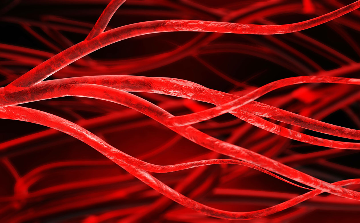 Artistic image of blood vessels