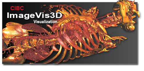 ImageVis3D