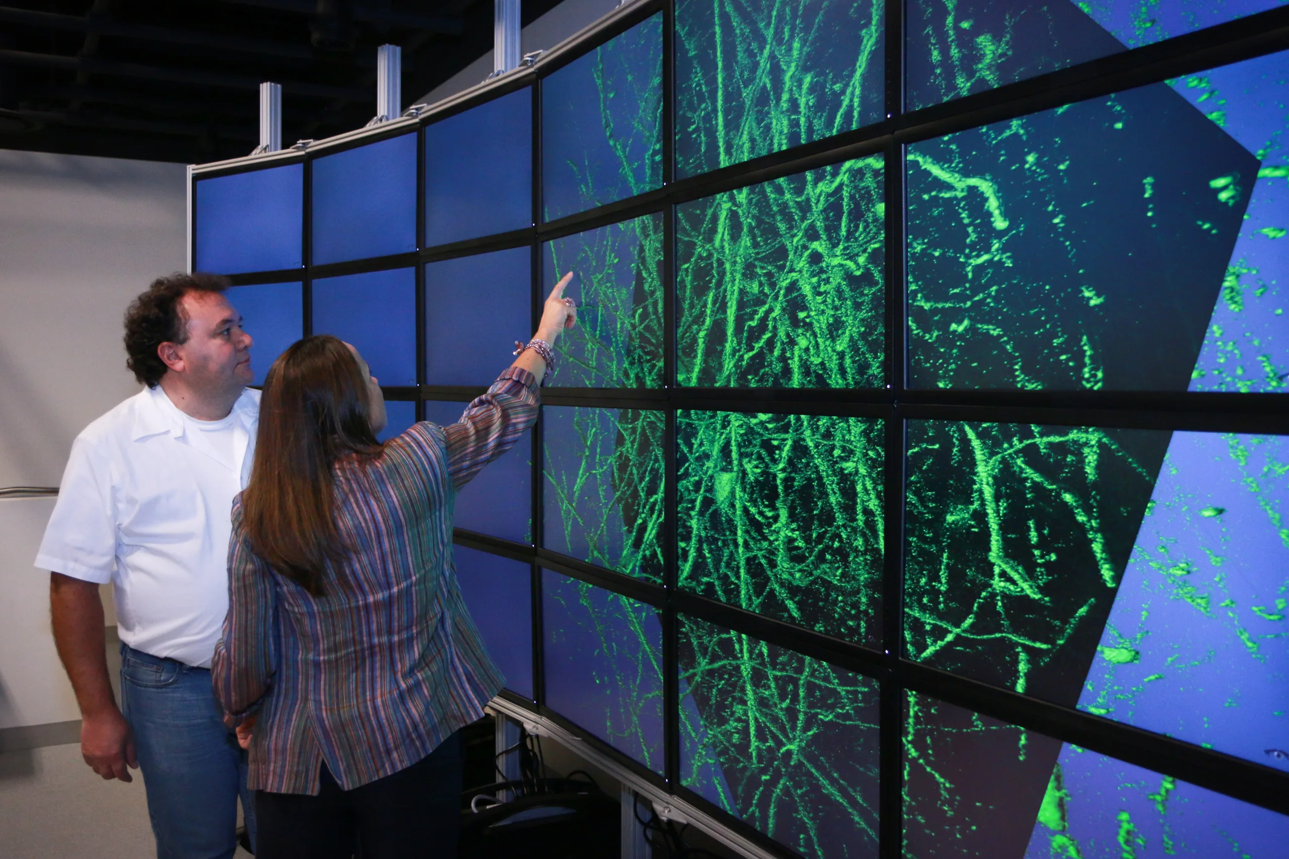 Brain Image 2