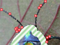 Paint and Click