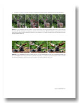 Paint and Click Supplemental Figures
