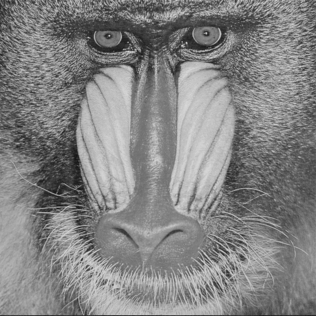Image imgs/baboon_big.png