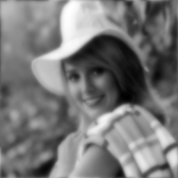 Image imgs/small_elaine_512_butterworth_16_1.png