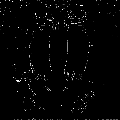 Image imgs/baboon_edges.png