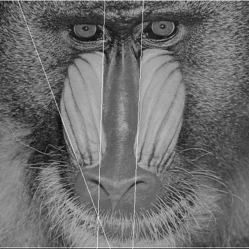 Image imgs/baboon_output.png