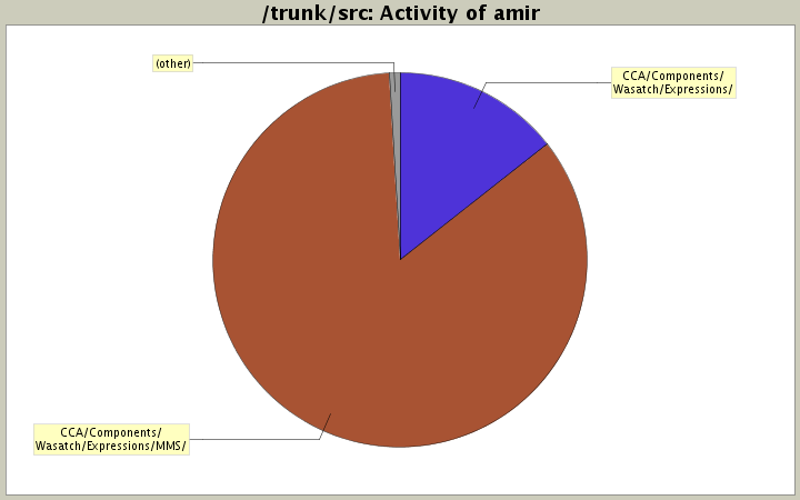 Activity of amir