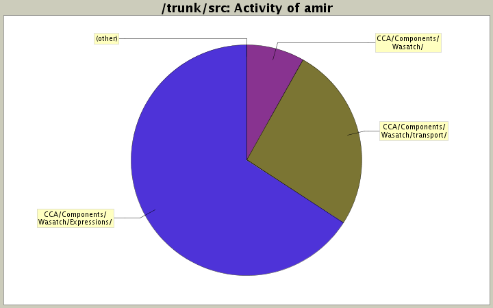 Activity of amir