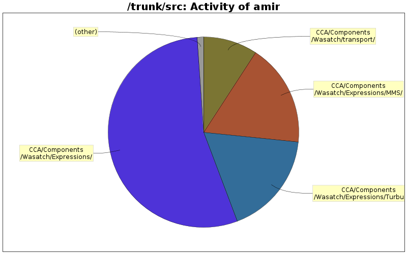 Activity of amir
