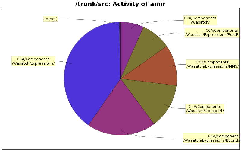 Activity of amir