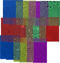initial mosaic