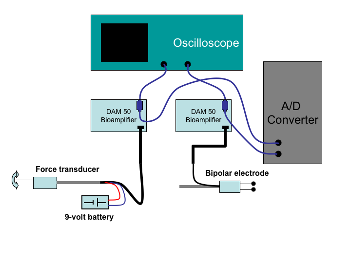 calibration of transducer