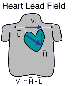 leadfield.png