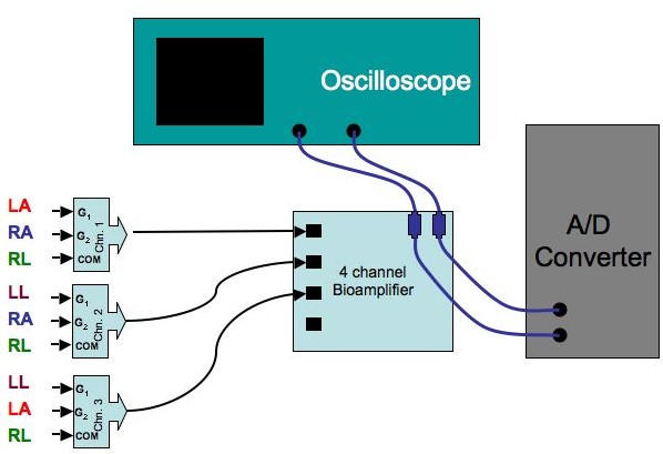 llcircuit.jpg