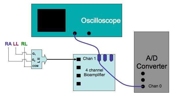 llcircuit.jpg