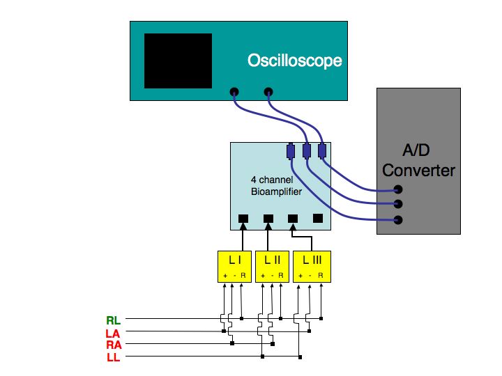 llcircuit.jpg