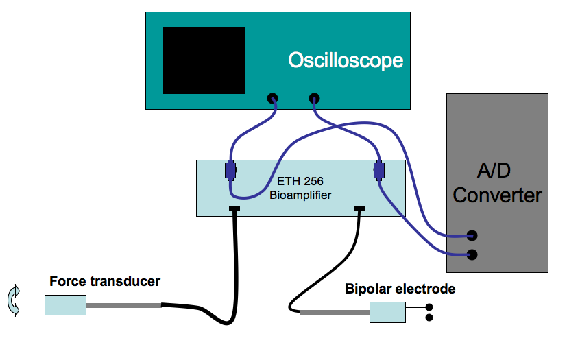 calibration of transducer
