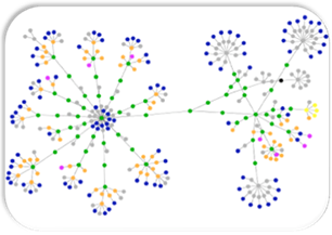 A network of colored dots

Description automatically generated