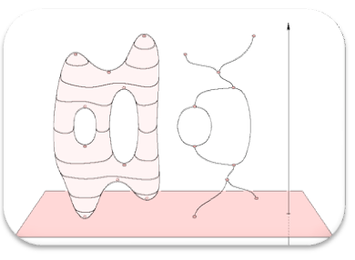 A drawing of a figure

Description automatically generated with medium confidence