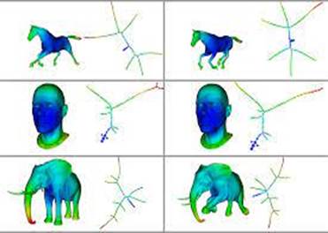 Topological Methods for the Analysis of High Dimensional Data Sets and 3D  Object Recognition