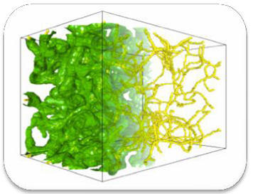 A green and yellow substance

Description automatically generated with medium confidence