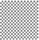 \includegraphics[width = 0.24\textwidth]{toyT_corr.eps}