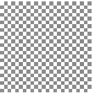 \includegraphics[width = 0.24\textwidth]{toyTN_corr.eps}